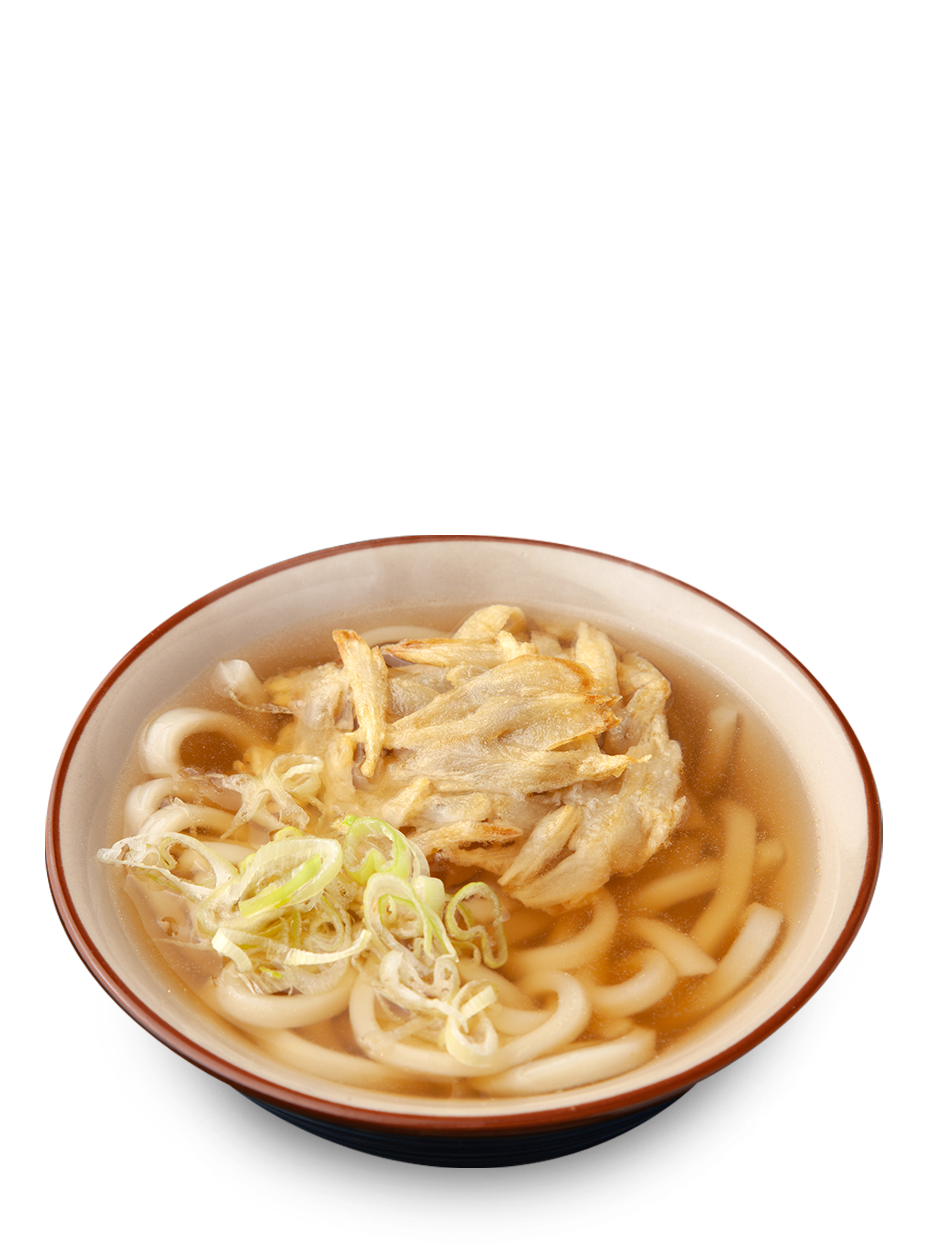 ごぼ天うどん